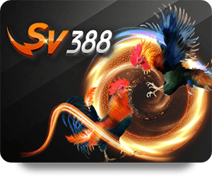 การใช้ 77Bet Cashback ทุกวัน เพื่อเพิ่มโอกาสชนะเกม